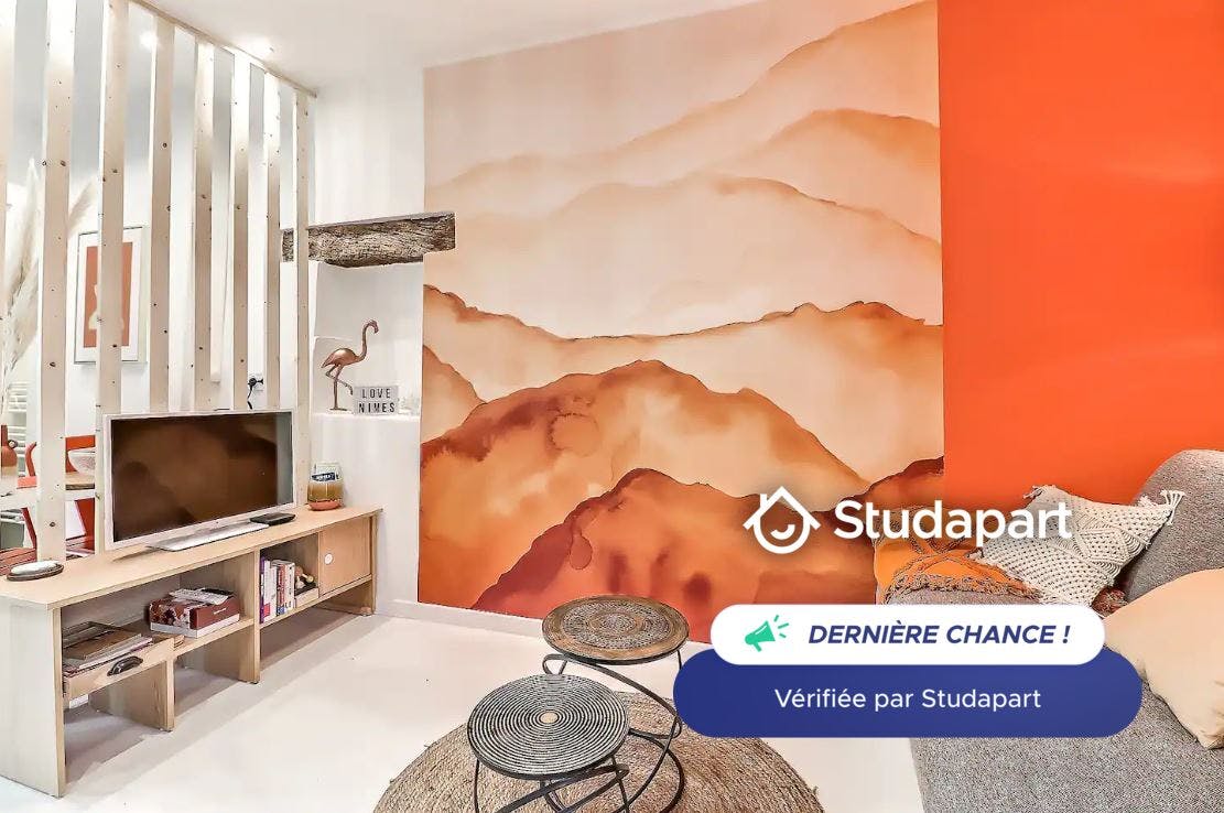Apartment for rent on Rue Xavier Sigalon, Nîmes - Widok 6
