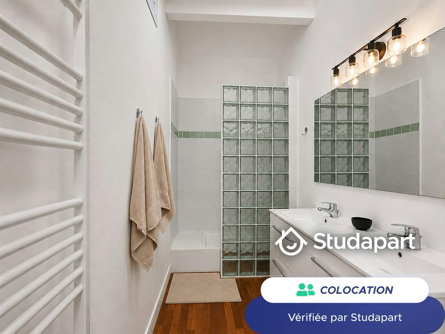 Private room for rent on Rue Villon, Lyon - Plus