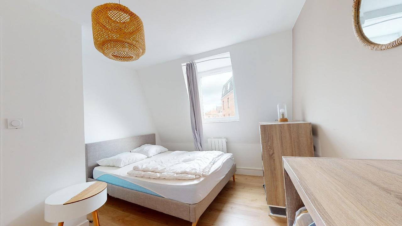 Private room for rent for €495 per month in Lille, Rue Rabelais