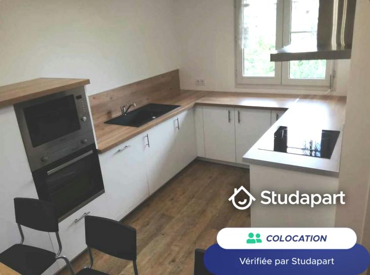Private room for rent on Place des Pavillons, Lyon - Plus