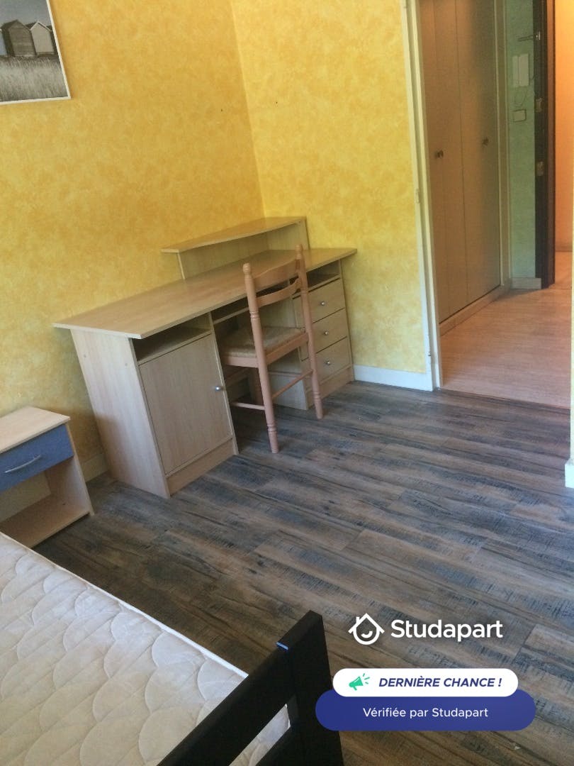 Apartment for rent on Cours Fauriel, Saint-Étienne – pohled 4