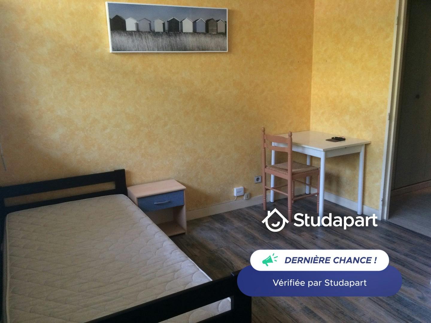 Apartment for rent on Cours Fauriel, Saint-Étienne – pohled 6