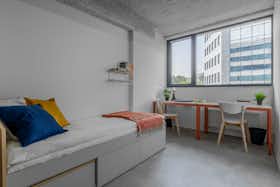 Gedeelde kamer te huur voor PLN 1.555 per maand in Warsaw, ulica Solec