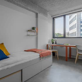 Shared room for rent for €365 per month in Warsaw, ulica Solec