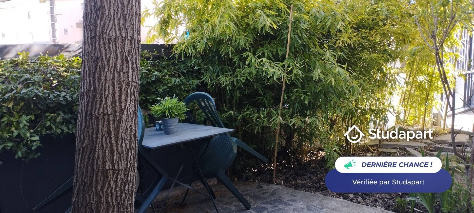 Apartment for rent on Rue de la Bégude, Montpellier - Veduta 6