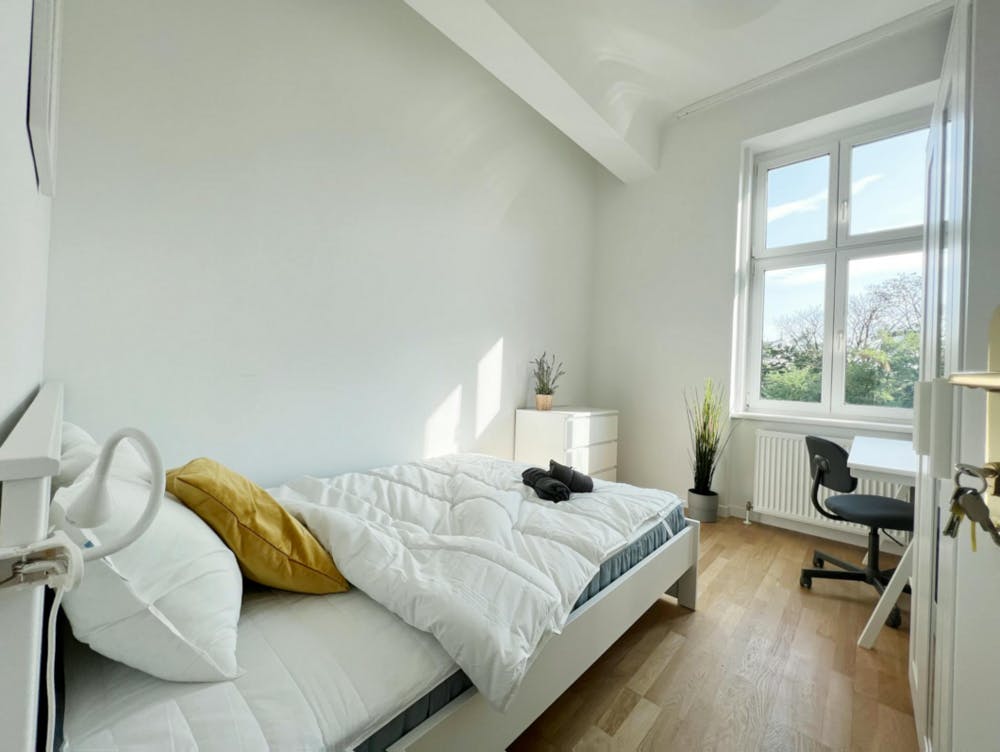 Liechtensteinstraße, Vienna preview