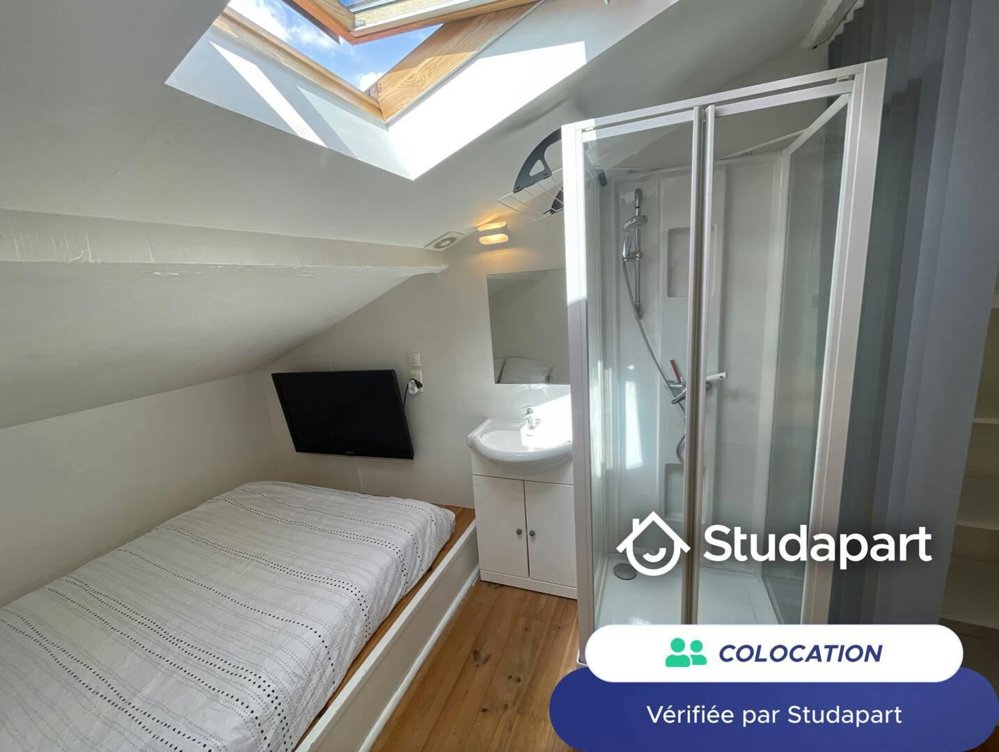 Private room for rent on Rue Guillaume Leblanc, Bordeaux - Vue 4