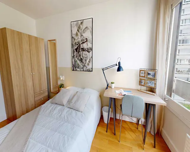 Private room in Rue de Vouillé, Paris (1472351) room image 1