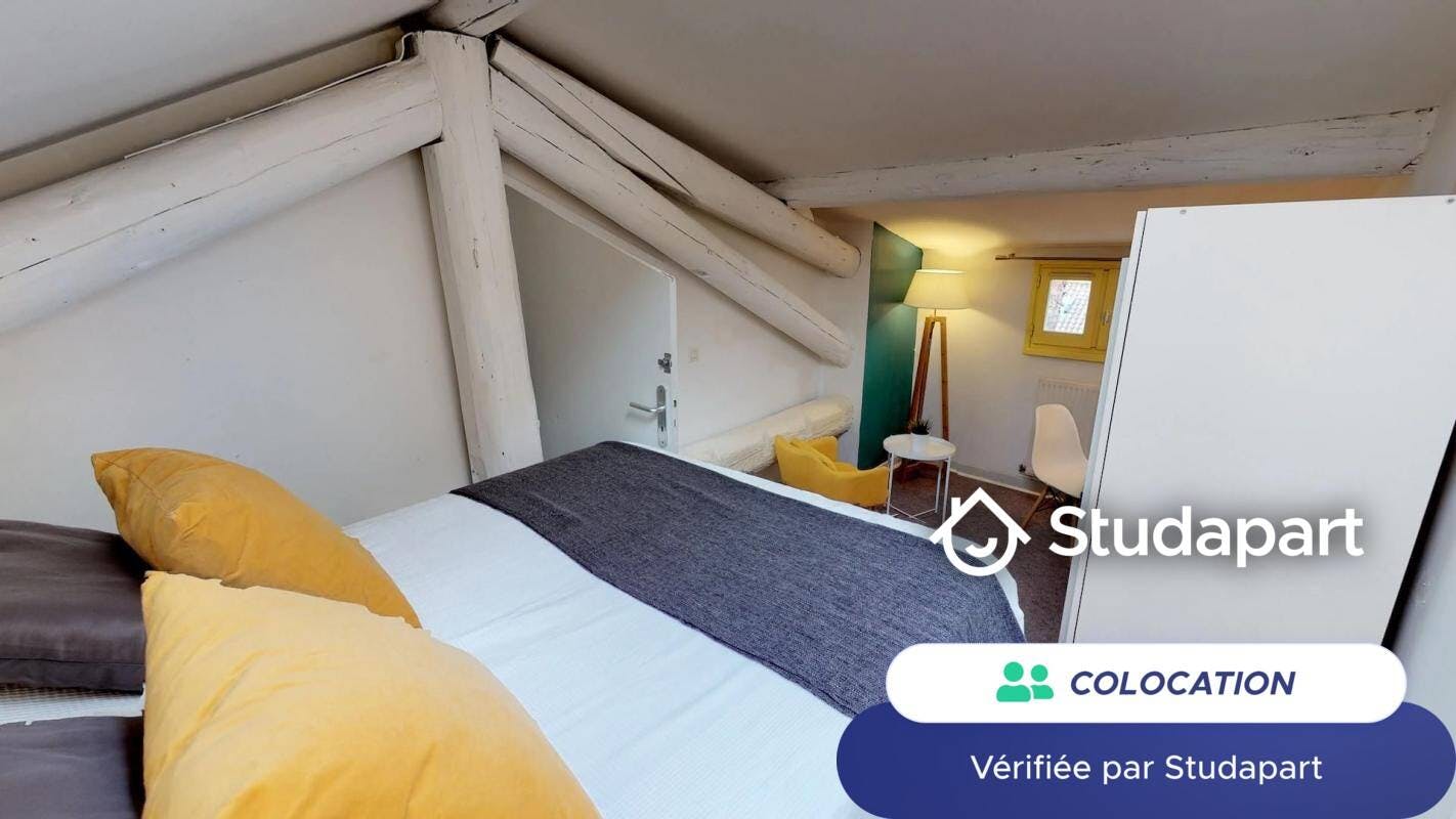 Private room for rent on Rue des Deux Ponts, Montpellier – pohled 3