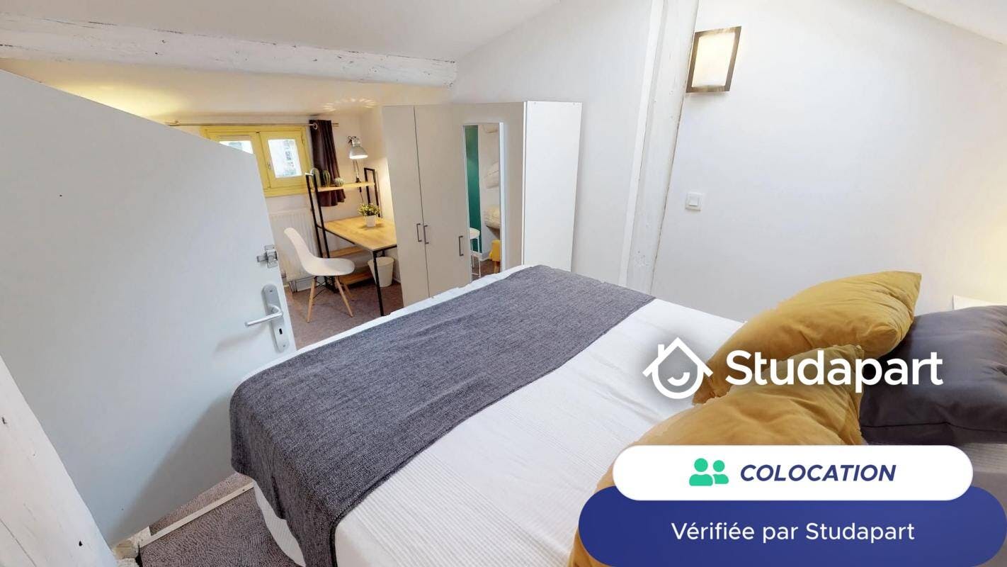 Private room for rent on Rue des Deux Ponts, Montpellier – pohled 6