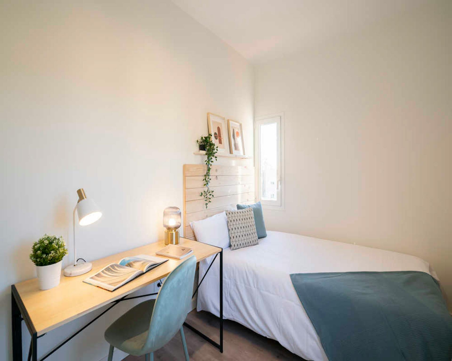 Calle de los Olivos, Madrid preview