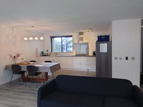 Lägenhet att hyra för 2 500 € i månaden i Rotterdam, Rochussenstraat