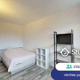 Private room for rent for €380 per month in Pau, Rue du Général Dauture