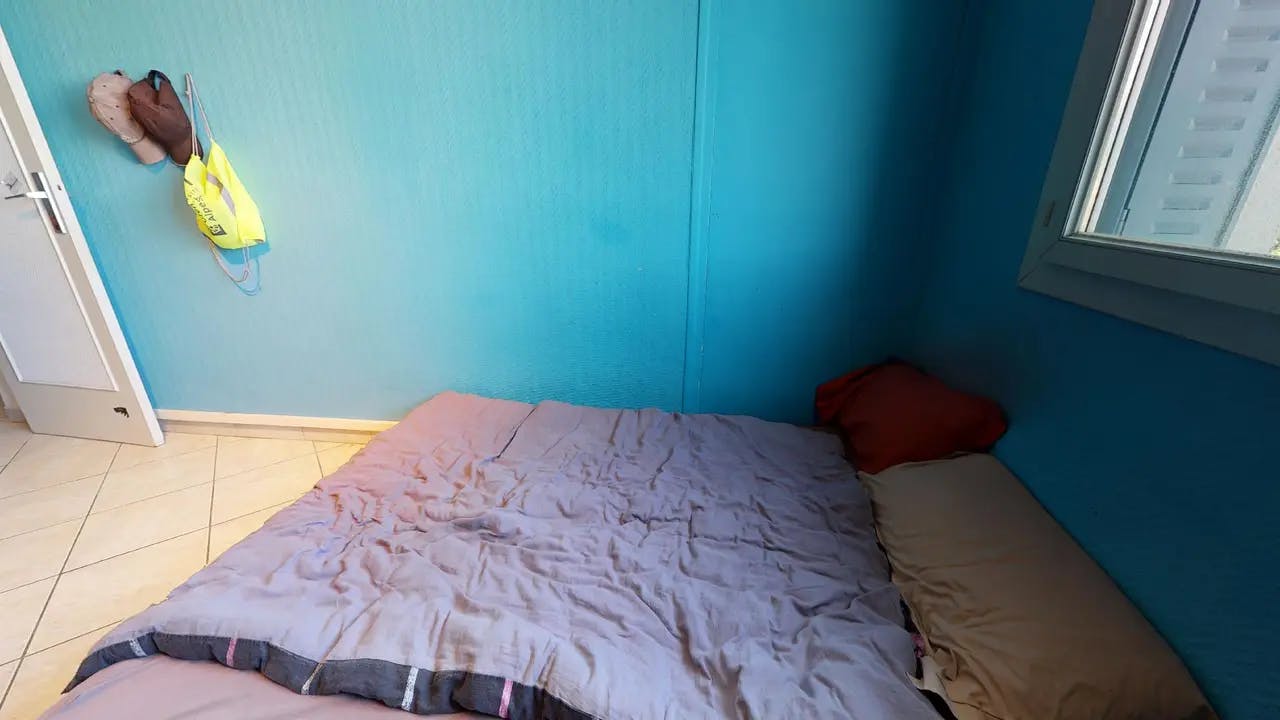 Private room in Chemin Villebois, Grenoble (1474478) ROOM 1