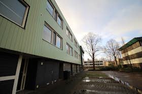 房源 正在以 €1,400 的月租出租，其位于 Enschede, Hasselobrink