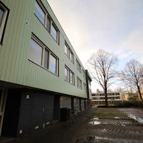 Hus att hyra för 1 400 € i månaden i Enschede, Hasselobrink