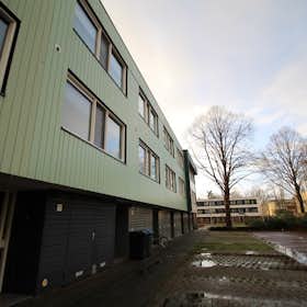 Casa para alugar por € 1.400 por mês em Enschede, Hasselobrink