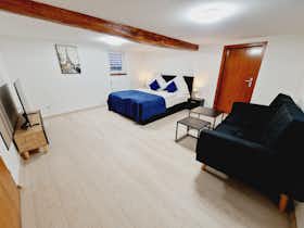 Wohnung zu mieten für 1.800 € pro Monat in Laubach, Herrenhausgasse