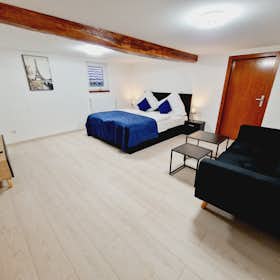 Lägenhet att hyra för 1 800 € i månaden i Laubach, Herrenhausgasse