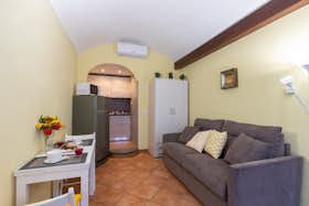 单间公寓 正在以 €800 的月租出租，其位于 Turin, Via Nizza