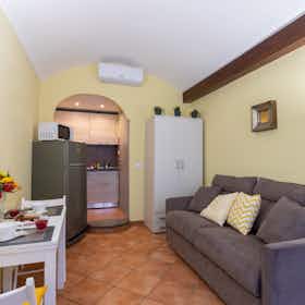 Studio for rent for €800 per month in Turin, Via Nizza