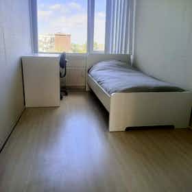 Private room for rent for €850 per month in Capelle aan den IJssel, Slotlaan