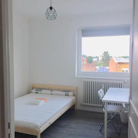 Private room for rent for €450 per month in Faches-Thumesnil, Rue Francisco Ferrer