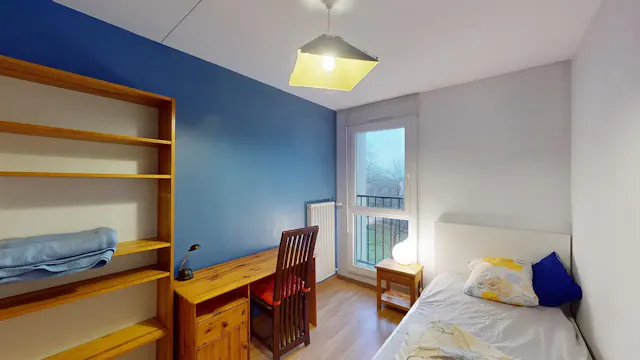 Private room in Rue Paul Helbronner, Grenoble (1476796) room image 1