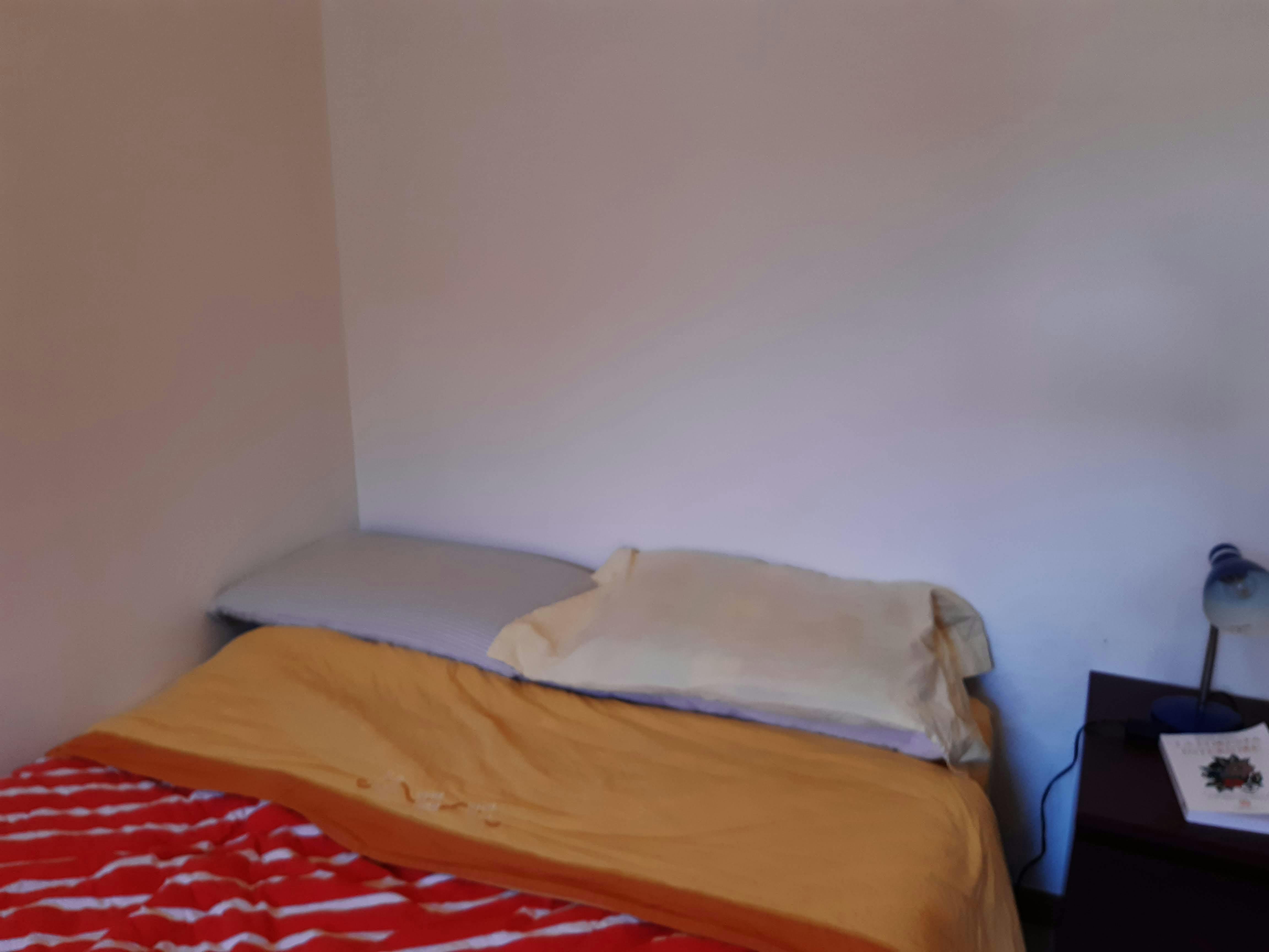 1-Bedroom House in Viale Monza, Milan (1476964) room image 1