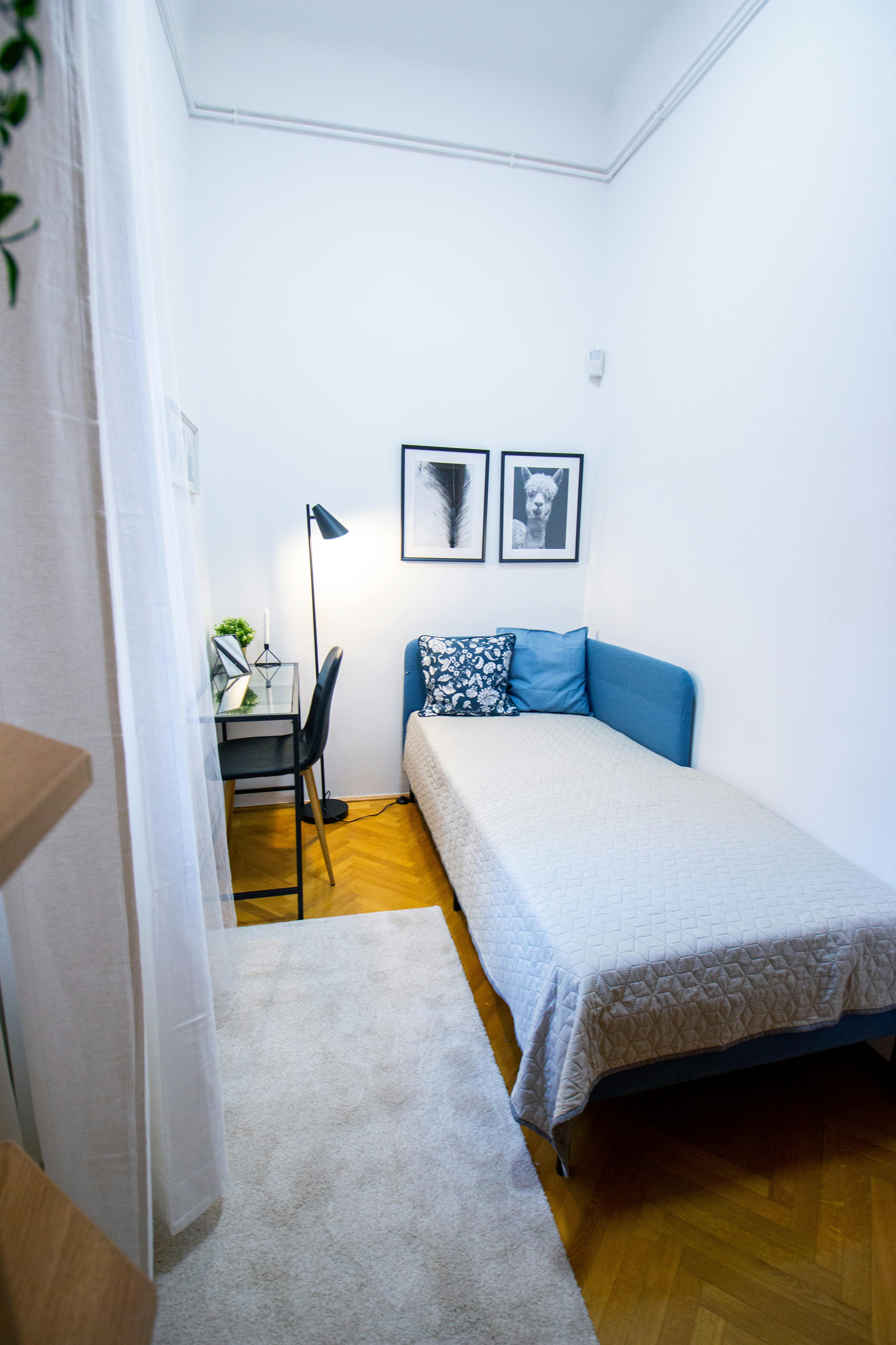 Balassi Bálint utca, Budapest preview