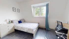Отдельная комната сдается в аренду за 400 € в месяц в Roubaix, Rue Lavoisier