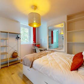Private room for rent for €720 per month in Lille, Boulevard Bigo Danel