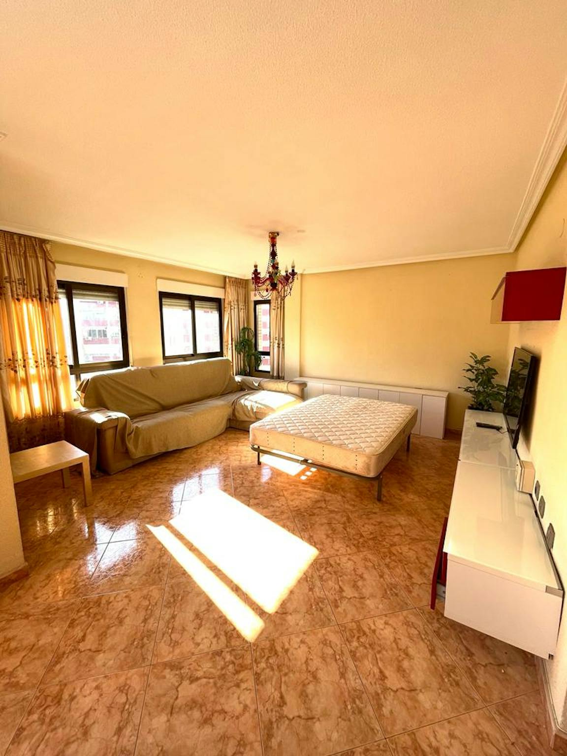 Paseo Cactus, Murcia preview