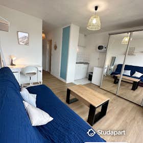 Квартира сдается в аренду за 420 € в месяц в Pau, Boulevard d'Alsace-Lorraine