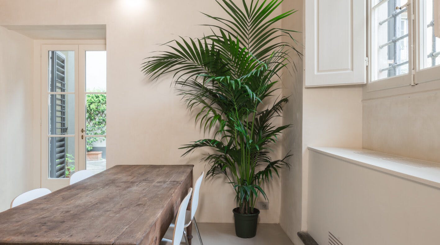 Apartment Florence, 1 bed, 80m² — photo 4