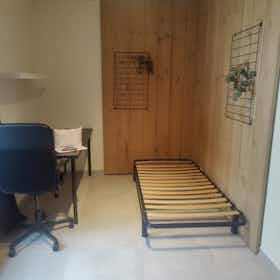 Приватна кімната за оренду для 420 EUR на місяць у Lier, Predikherenlaan