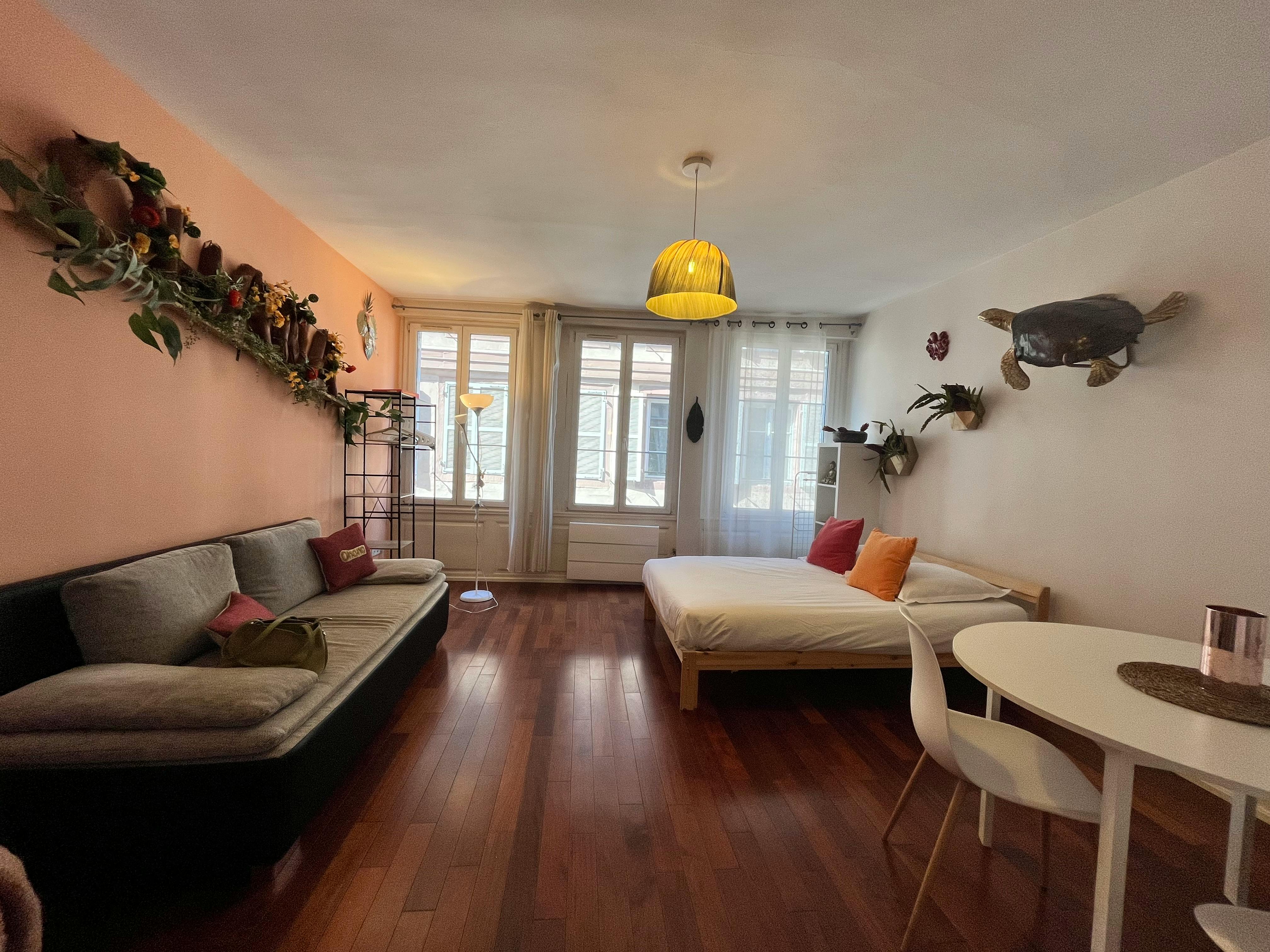 Rue des Charpentiers, Strasbourg preview