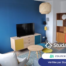 Private room for rent for €490 per month in Metz, Rue aux Arènes