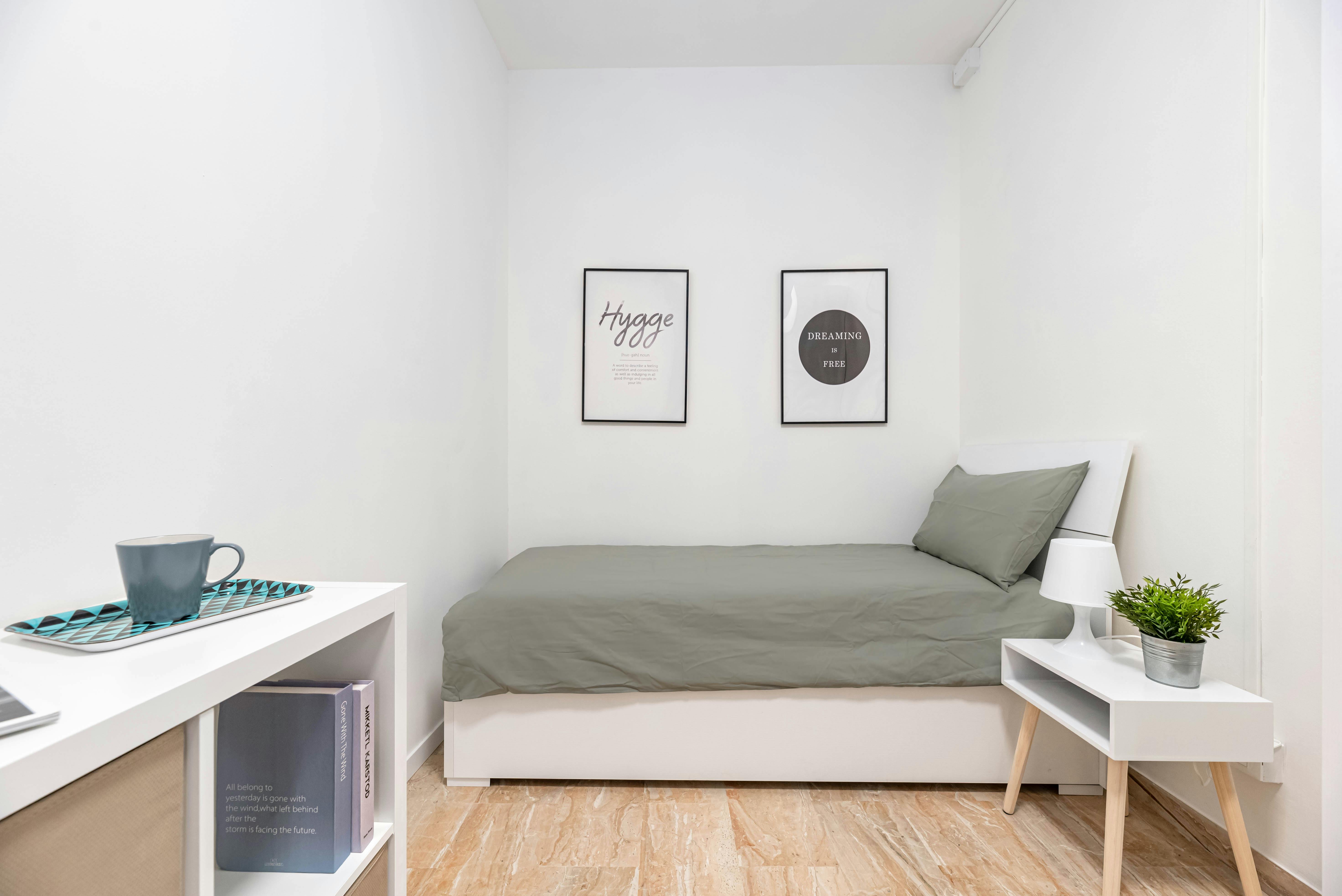 Via Domenico Piacentino, Padova preview