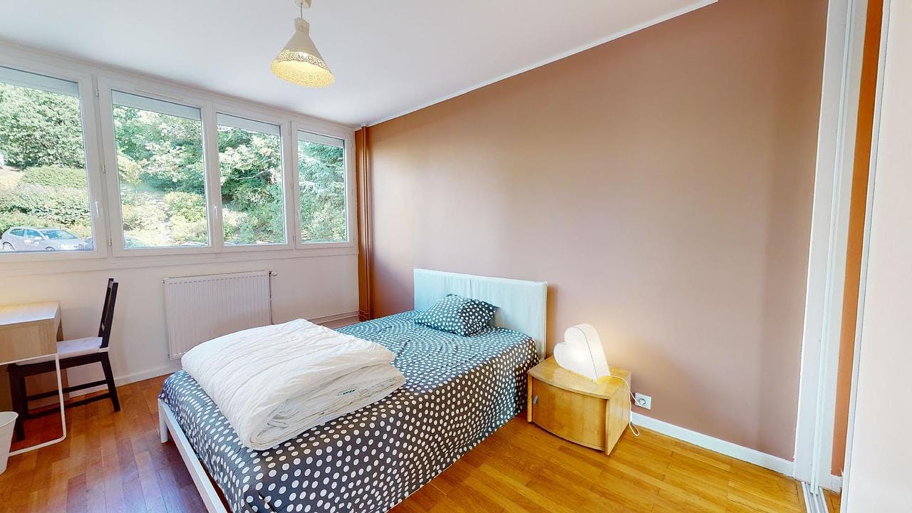 Private room for rent for €547 per month in Tassin-la-Demi-Lune, Chemin de la Pomme