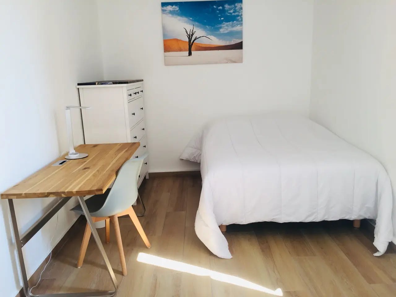 Cours Émile-Zola, Villeurbanne preview