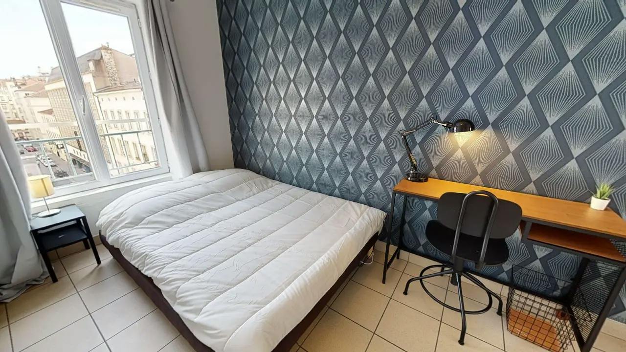 Private room in Rue Paul Bert, Lyon (1478756) ROOM 2