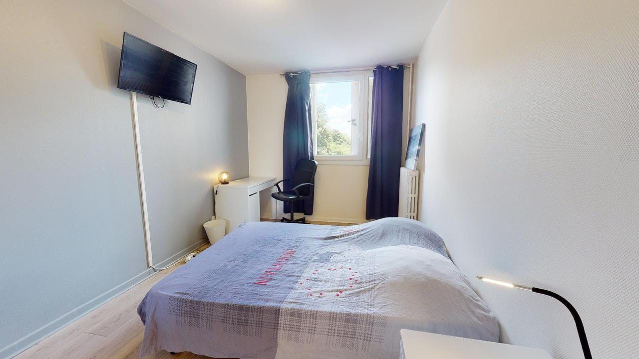 Private room for rent on Rue Philippe Fabia, Lyon