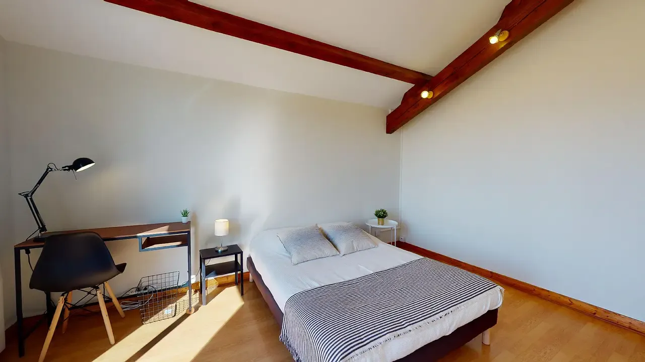 Private room in Avenue Paul Santy, Lyon (1478778) ROOM 2