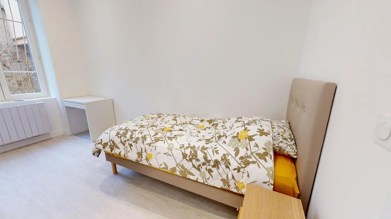 Private room in Rue d'Inkermann, Lyon (1478828) room image 1