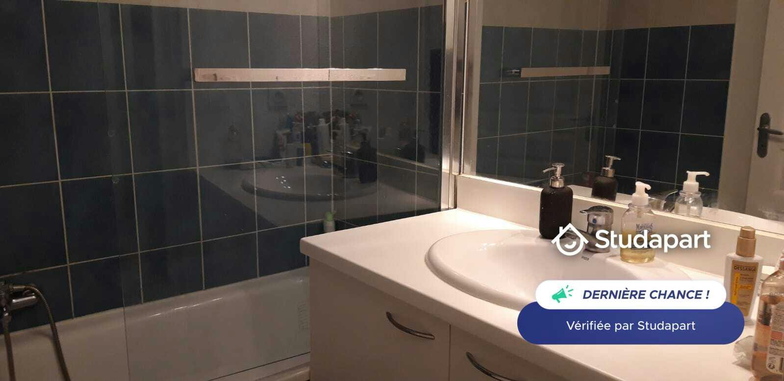 Appartement – Toulouse, Les Cocus - Plus