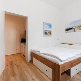 Studio for rent for €990 per month in Vienna, Schwendergasse