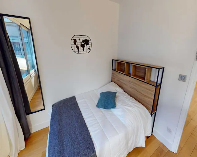 Private room in Rue de Vouillé, Paris (1479213) room image 2