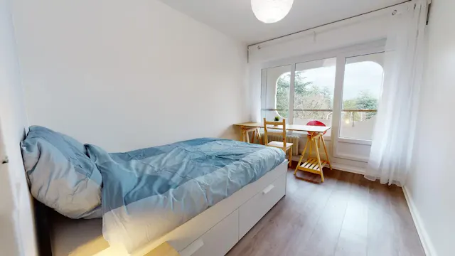 Private room in Rue Professeur Patel, Lyon (1479271) room image 1