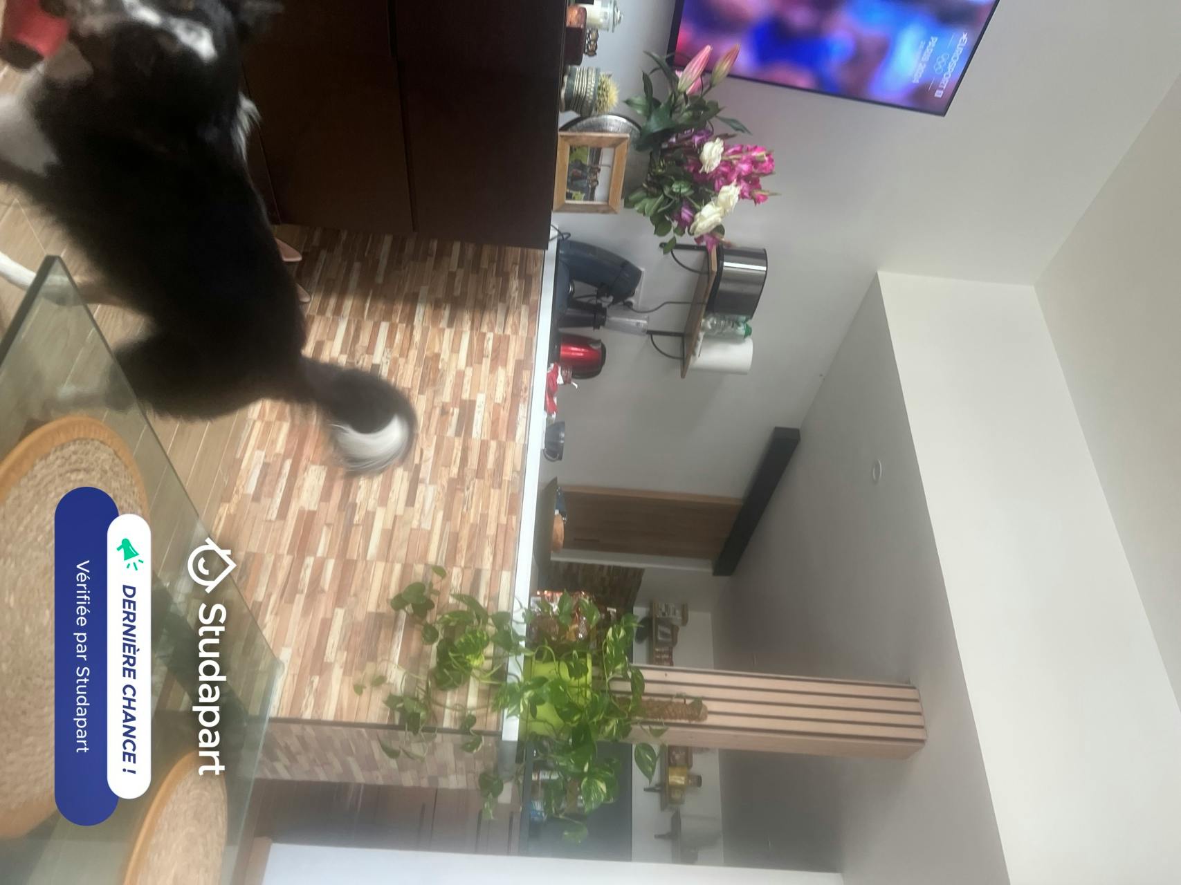 Apartment for rent on Avenue Foch, Le Havre – pohled 4
